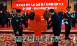 泰安爆料新闻,揭秘事件背后惊人真相